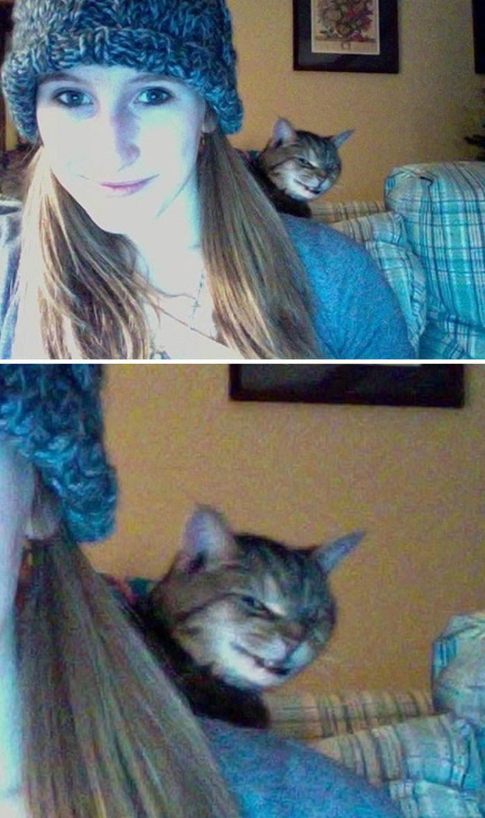 11. He’s guarding his human like a true supervillain