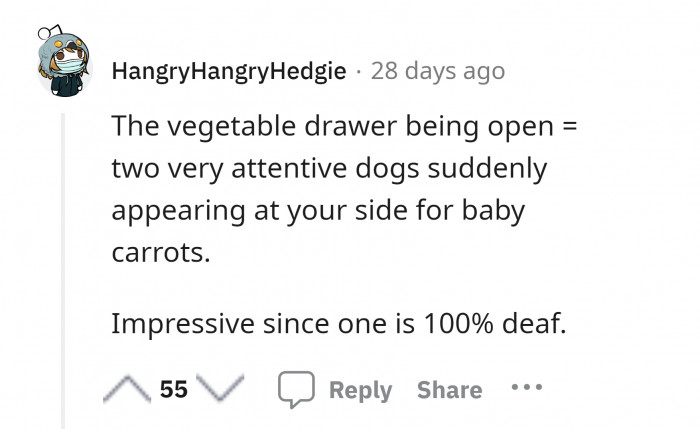 9. When the vegetable drawer opens, two deaf dogs will be waiting in line for some carrots.