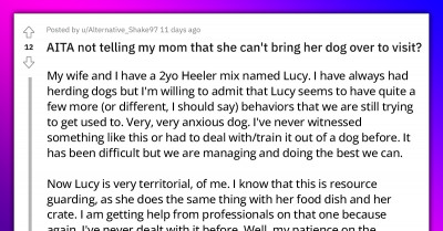 Redditor Allows His Mom To Visit With Her Dog, Causing Even More Stress To His Wife Who Is Already Close To Breaking Point Because Of Their Dog