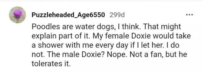 16. My Female Doxie Would Shower with Me Every Day If I Let Her