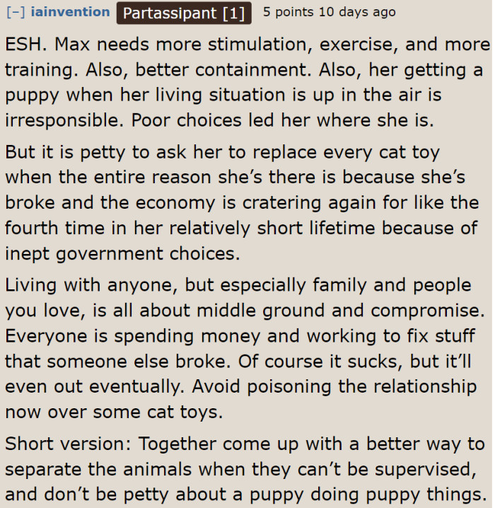 They can solve this problem by talking about how they can manage to get the pets to play separately.