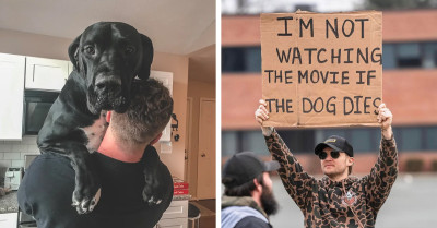 41 Photos Serve As Undeniable Evidence That Dogs Reign Supreme As Man's Best Friend