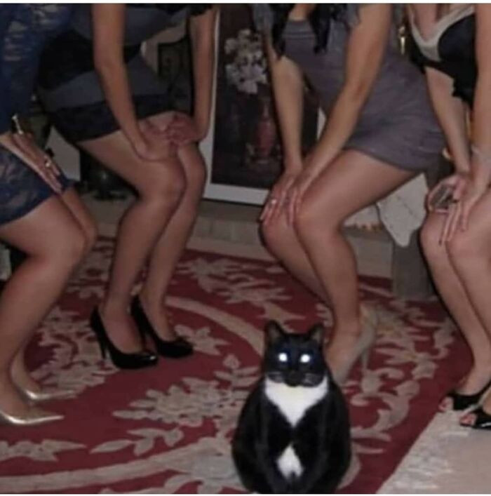 36. He's flirting with them all!