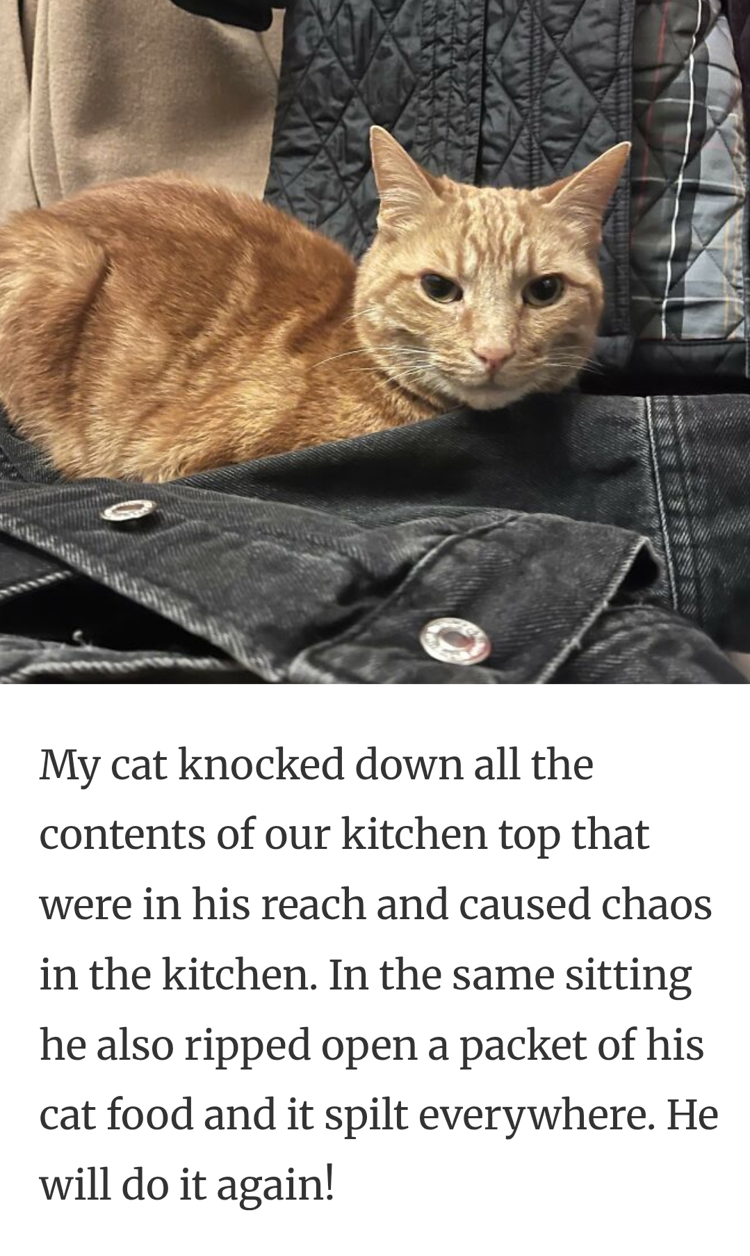 26. Ripping open a packet of cat food