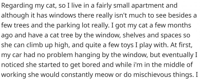 OP got a new MacBook, and he uses the old one to play Cat TV for the cat