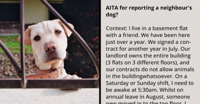 Redditor Reports the Neighbor's Dog Who Always Yaps and Howls to the Local Council, Regrets It Later
