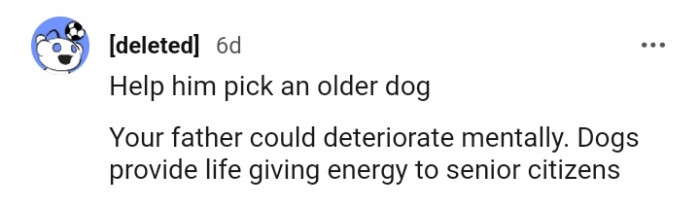 5. Dogs provide life-giving energy to senior citizens
