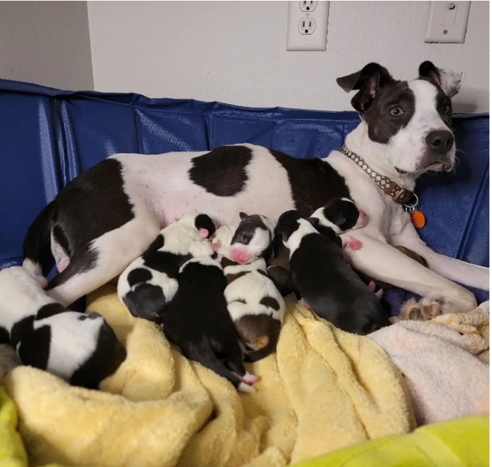 15. The spottiest family