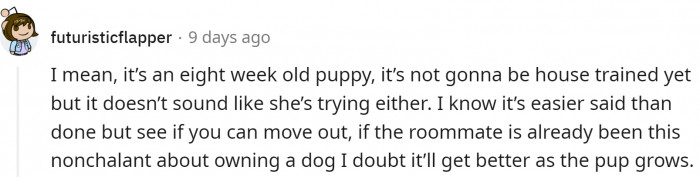 The situation is not likely to improve any time soon because the puppy is too young to be properly potty-trained