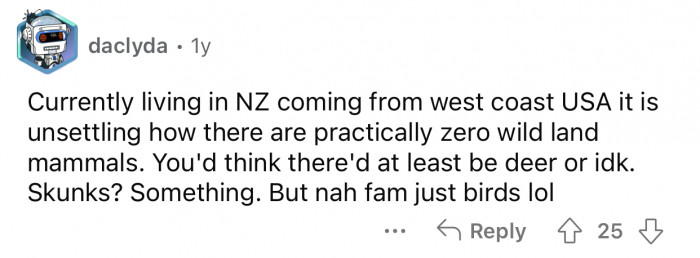 There's nothing but birds everywhere.