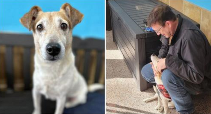 Little Buddy is Finally Home