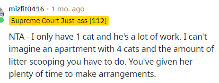 I didn't really consider the fact that there are four cats, which is a lot, and obviously, OP is alone taking care of cats that aren't hers.