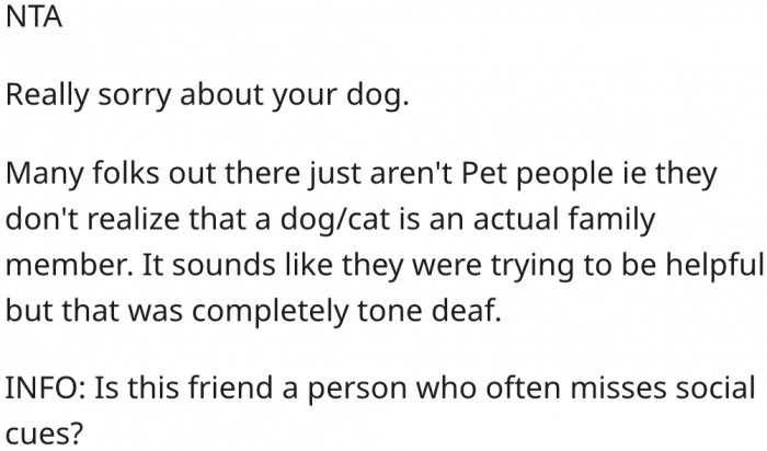 8. Many people don't understand that pets are family members.