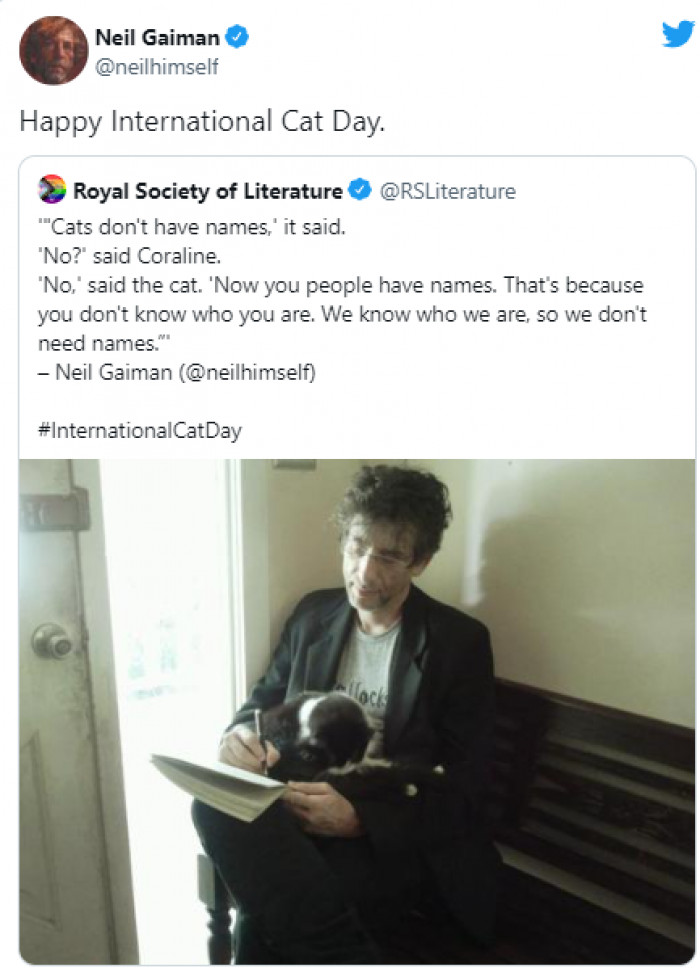 16. Author Neil Gaiman shared a photo of himself TRYING to write while holding his cat in his lap (GOOD LUCK):