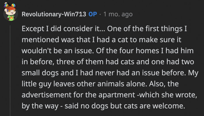 OP Explained What Happened Way Before She Signed the Lease, and It's Very Obvious They Didn't Take the Comfort of Their Cats for Granted.