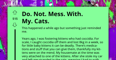 Foster Parent Plays Fast One On Ex-Roommate Who Took One Of Her Cats While Moving Out