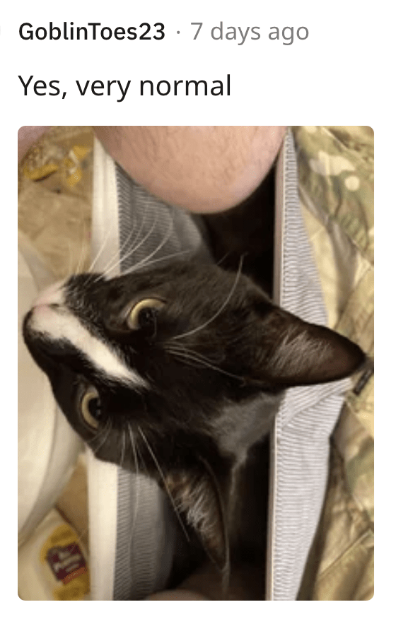 5. I'm going in now, so no disturbance