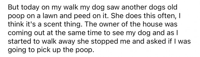 OP's dog noticed another dog's poop and ended up peeing on it.