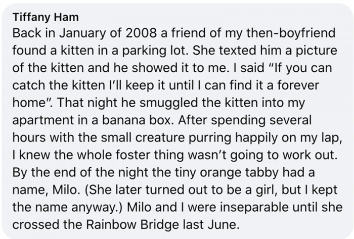 7. Milo, the cat, and I were inseparable until...