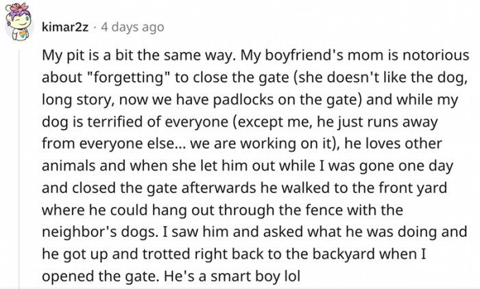 My boyfriend's mom is notorious for forgetting to close the gate
