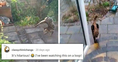 Grandma Makes A Video Of Her Adopted Cat Who Walks In A Weird Way And It Goes Viral