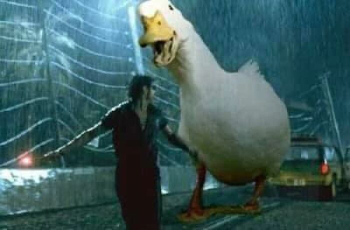 50. Jurassic quack.