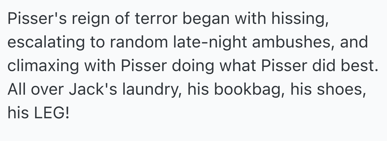 Pisser's campaign of terror began with hissing, escalated to surprise attacks, and peaked with Pisser marking his territory on Jack's belongings, including his laundry, backpack, shoes, and even his leg.