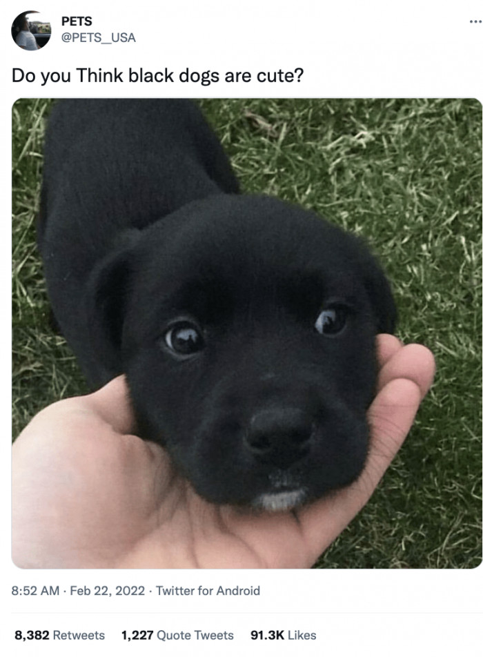 1. This should not be a question.