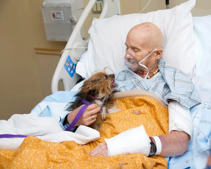 John Vincent was forced to part with his beloved 6-year-old Yorkshire Terrier mix named Patch