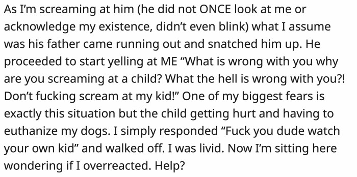 During the chaos, the dad came running towards them, picked up the child, and proceeded to scold OP.