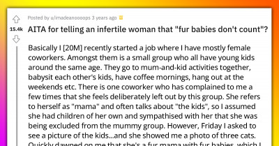 Cat Owner Got Upset When A Colleague Said Her "Fur Babies" Are Not Really Kids And That's Why Moms Don't Invite Her To Their Events