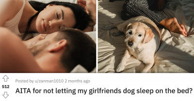 Boyfriend Doesn't Like Sharing His Bed With Girlfriend's Dog But She Disagrees