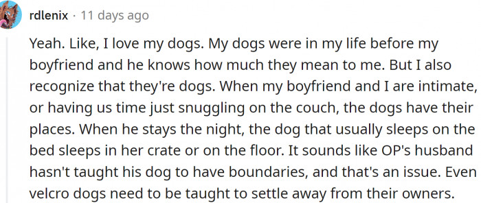Here is one pet owner who taught her dogs about boundaries: