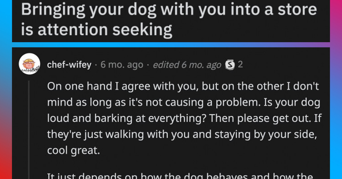 Self-Proclaimed "Not A Dog Person" Divides Reddit When He Declared That People Who Bring Their Dogs To Stores Are Attention Seekers
