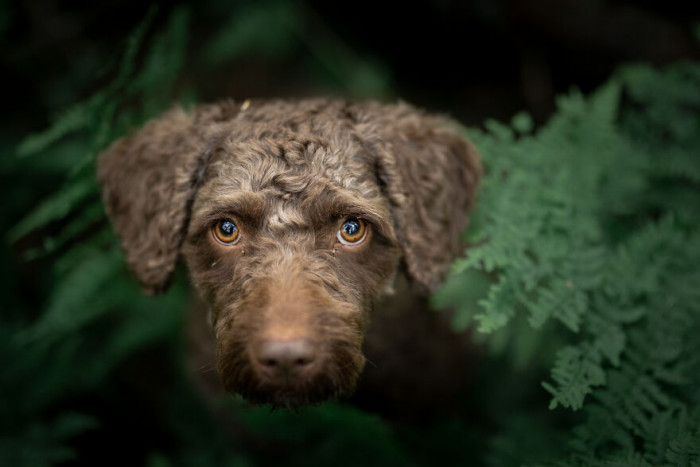 6. So much love and wisdom in those eyes; they tell a story