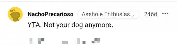 8. The dog is not yours anymore