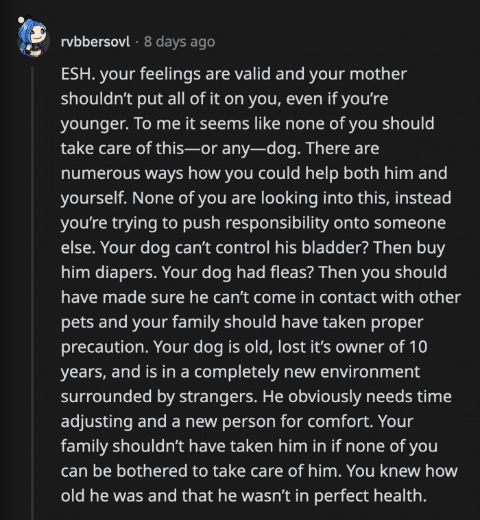 The comments were divided, but someone pointed out that everyone except the dog sucks. They knew his condition when they brought him home, and it was their responsibility to make him comfortable and secure the safety of their other pet. All of them need to step up and show Little Man how much they love him for however long he's got left.