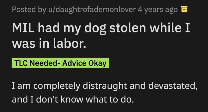 Six Days Postpartum, OP's MIL Informed Her She Was No Longer Allowed to Keep Her Dog in Their Home