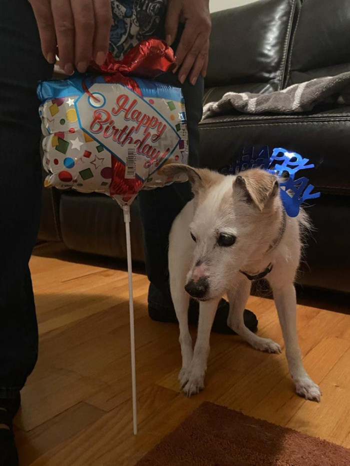 11. "Celebrating this little lady turning 20 years old. Happy birthday, Daisy."