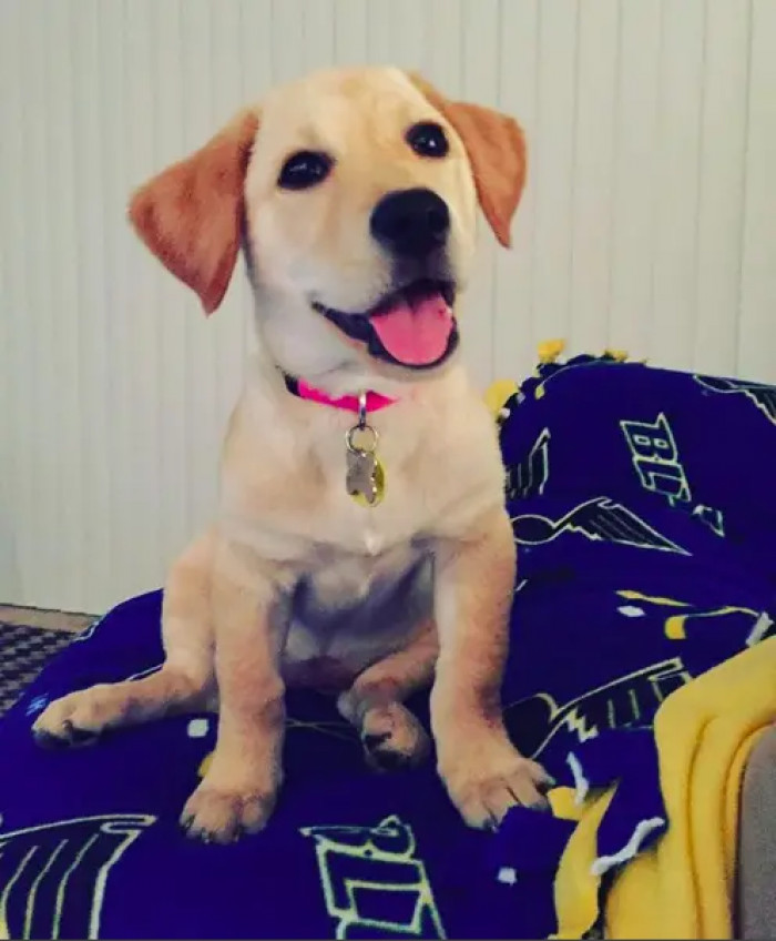 6. Someone is in a happy mood, and I'm happy too