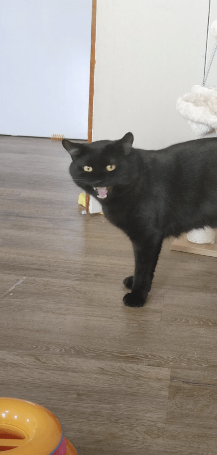 "These were the pictures from his sitter…"