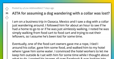 Redditor Rescues Dog He Thought Was Lost, Ends Up Being Scolded By The Supposed Dog Owner