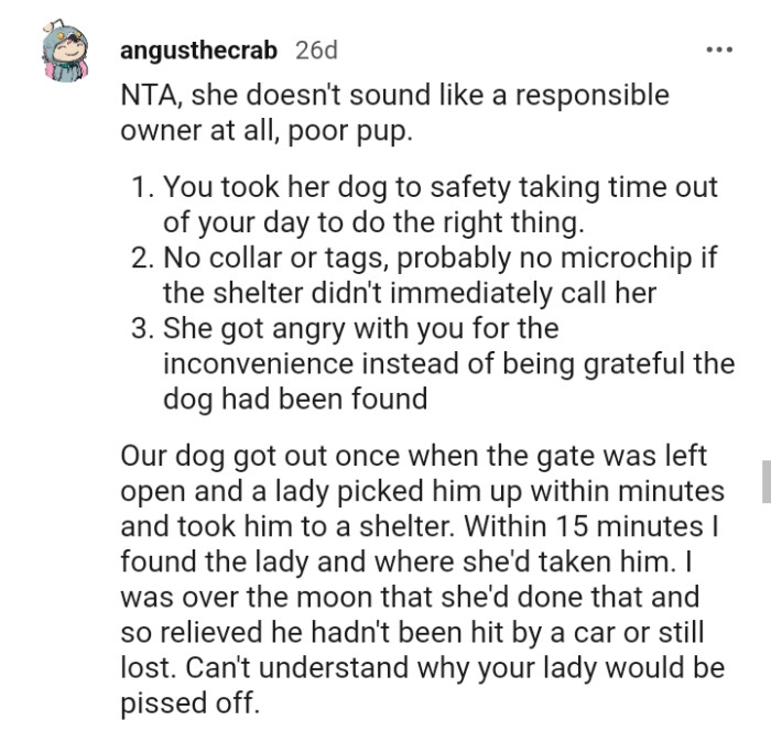 This Redditor pointed out that they couldn't understand why the lady would be mad at the OP