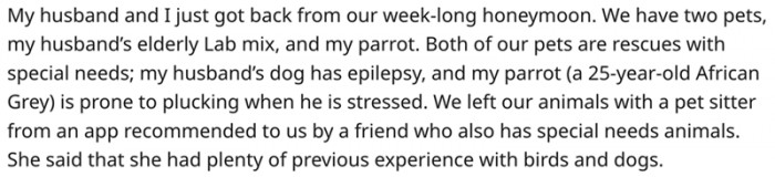 OP and her husband took a honeymoon and left their pets with a highly recommended pet sitter.