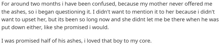 OP says that they were confused because their mother had promised them half of the ashes from the dog.