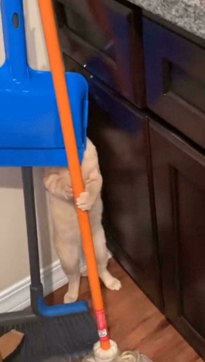 33. Caught mid-cleanup, trying to erase the evidence.