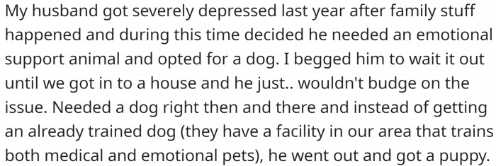 Her husband had a severe case of depression and wanted to get an emotional support animal. He didn't want o wait until they get a bigger place.