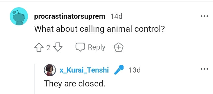 19. Another person is asking the same thing