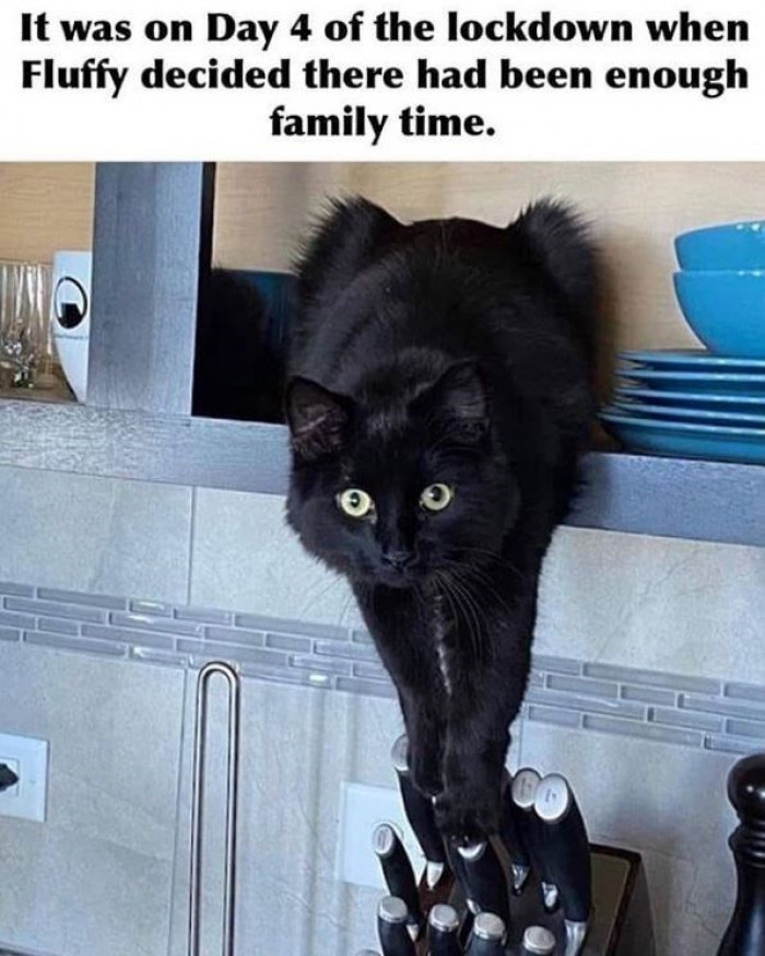 3. They said it'd be fun to spend time with your family.