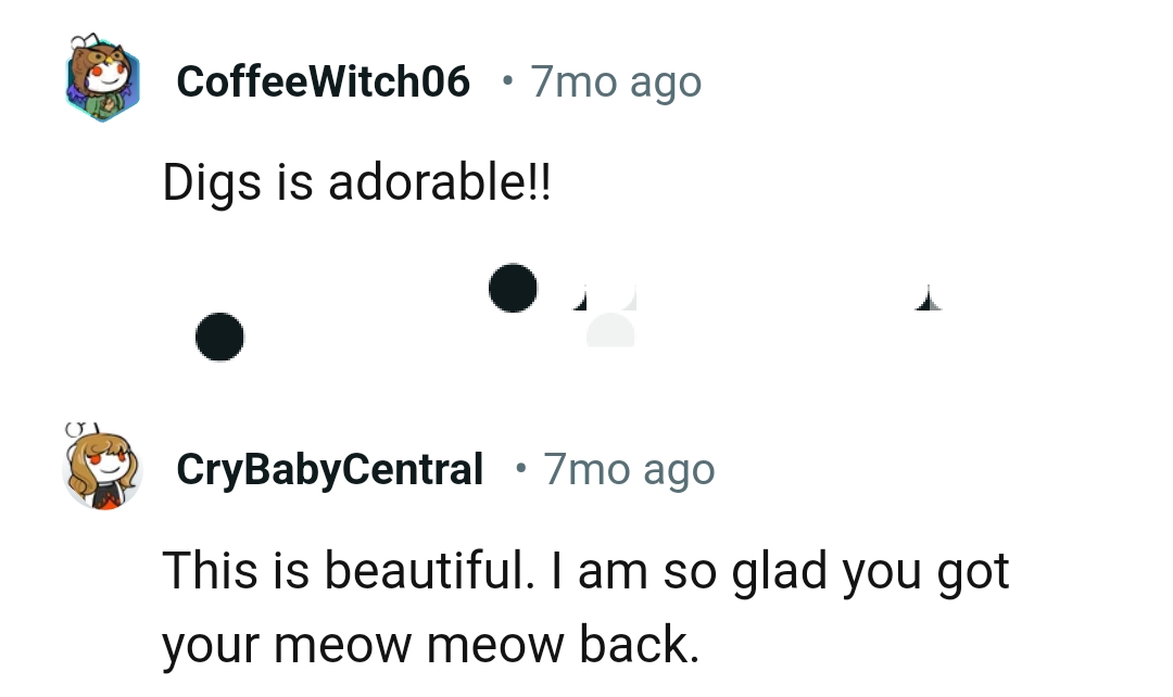 The cat is really adorable